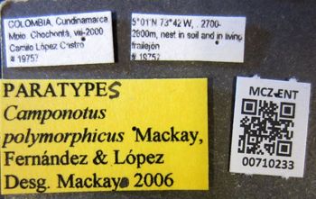 Media type: image;   Entomology 710233 Aspect: labels